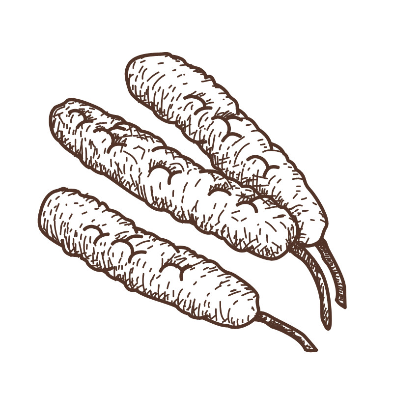 spice-shop-19
