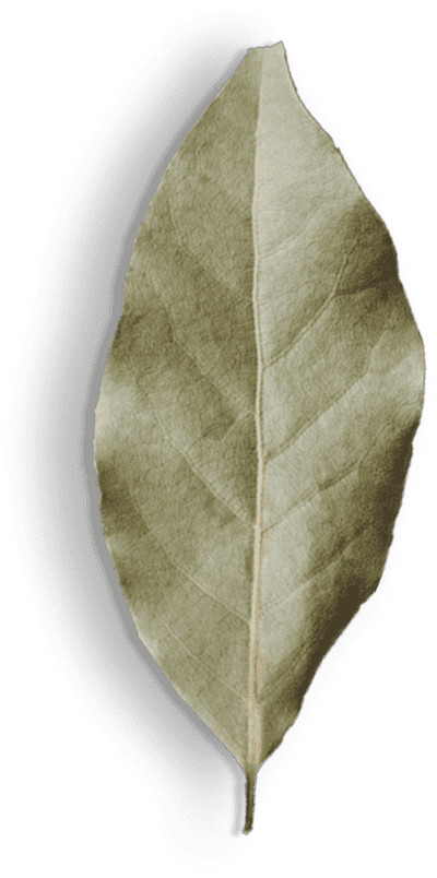 spice-shop-40
